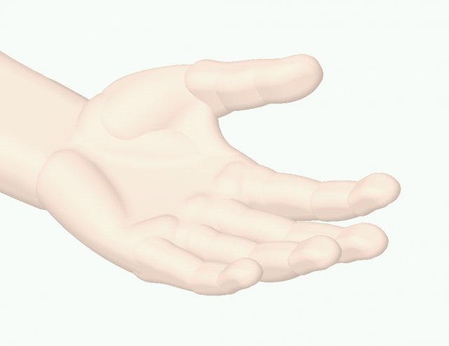 human left hand 3d modèle in anatomie 3dexport 3D print model - Mito3D