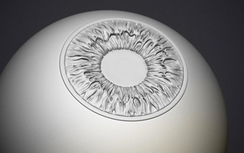 umano occhio 3d stampa modello in astronomia fisica 3dexport corpo anatomia iris convesso concavo scienza 3d print model - Mito3D