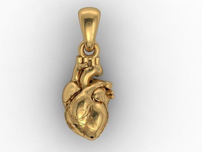 human heart pendant human-heart jewelry love pendants printable silver 3d print model - Mito3D