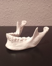 humano mandíbula anatômico 3d impressão modelo in astronomia física 3dexport corpo anatomia dentes dentista 3d print model - Mito3D