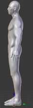 uomini umani umana l'anatomia 3d la stampante 3dprinter obj stl fbx autodesk maya2016 3d print model - Mito3D