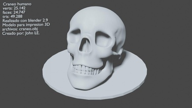 humano crânio 3d impressão modelo in anatomia 3dexport liquidificador jogos sculptures and figures corpo cabeça vídeo livre forte 3d print model - Mito3D
