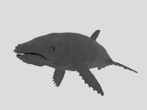bosse baleine 3d modèle in 3dexport poisson zoo vie marine faune animal 3dprinter 3dprinted 3d print model - Mito3D