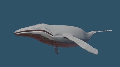 humpback whale 3d model in 3dexport blower 3d print model - Mito3D