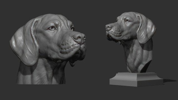 Macarca Vizsla köpek hayvanlar büst Evcil Hayvan heykel Sanat baş dekor yazdırılabilir minyatürler kolye cnc Rahatlama takı 3d print model - Mito3D