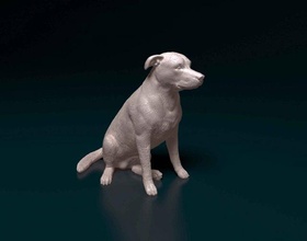 huntaway dog animal hunt newzeland zeland shepherd 3d print model - Mito3D