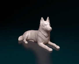 husky dog 3d print model in figurines 3dexport animal printable printready stl obj siberian 3d print model - Mito3D