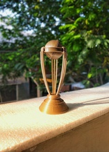icc world cup 2019 free 3d print model in game accessories 3dexport cricket crickets trophy ball bat worldcup2011 3d print model - Mito3D