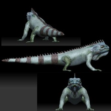 iguana verde camaleão cor 3d print model - Mito3D