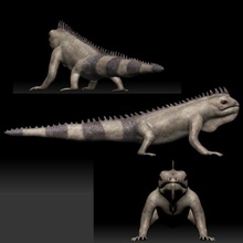 iguana verde cor 3d print model - Mito3D