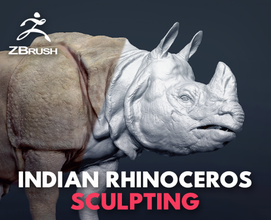 indian rhinoceros - sculpt wildlife animal mammal sculpture zoo african safari zbrush 3d print model - Mito3D