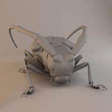insekten käfer pack 3d modell 3dexport biene ameise spinne fehler insekt wespe heuschrecke tier kreatur sammlung kakerlake kricket fliege 3d print model - Mito3D