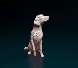 irisch rot Setter Hund Tier gedruckt stl obj druckbar 3d print model - Mito3D