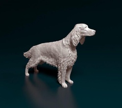 irlandesi rosso setter cane animale printready stl obj cacciatore 3d print model - Mito3D