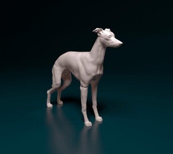 italian greyhound dog animal printready stl obj printable 3d print model - Mito3D