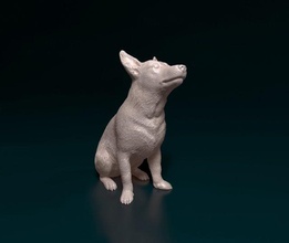 jack russell short-legged dog animal stl obj printready printable 3d print model - Mito3D