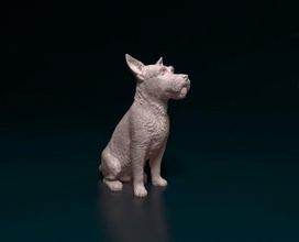 jack russell wire haired 3d impresión modelo in figuritas 3dexport perro animal listo imprimir imprimible stl obj 3d print model - Mito3D