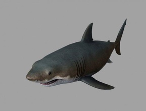 jaws shark 3d model in 3dexport animal fish killer 3d print model - Mito3D