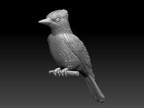 jay kuş 3d yazdır model in heykel 3dexport bülbül zimarodok ibibik baştankara guguk kuşu şakrak serçe papağan alakarga kuşlar sanat heykeller 3d print model - Mito3D