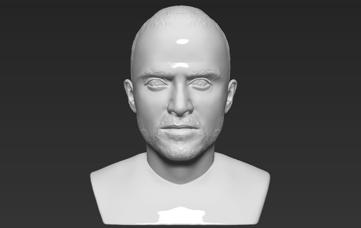 jesse pinkman breaking bad bust 3d printing ready stl obj print model in sculpture 3dexport walter white gustavo frind aaron paul bryan cranston heisenberg tv celebrity actor hollywood criminal 3D print model - Mito3D