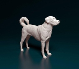 bobine berger 3d impression modèle in figurines 3dexport turc dinde chien animal printready stl obj imprimable 3d print model - Mito3D