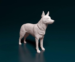 kelpie 3d impressão modelo in estatuetas 3dexport cão animal printready imprimível australiano stl obj 3d print model - Mito3D