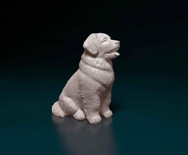 leonberger cucciolo cane animale pronto stampabile stl obj 3d print model - Mito3D