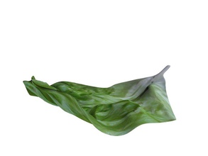 lettuce leaf 3d print 3d print model - Mito3D
