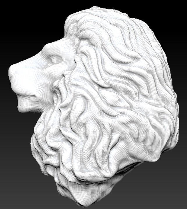 leão cabeça cat tigre puma animais a 3D print model - Mito3D