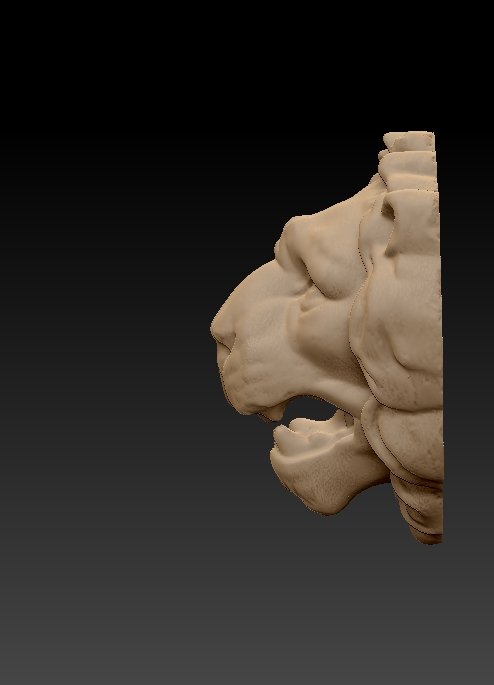 lion head 3d-Druck Modell deco Tier Kunst Skulptur 3D print model - Mito3D