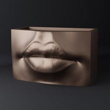 dudaklar pot organizer vase 3d yazdır model in aksesuarlar 3dexport vazo tencere organizatör ekici heykel çanak iç tasarım dekor ev eşyaları dekoratif dekorasyon çağdaş kutu depolama 3d print model - Mito3D