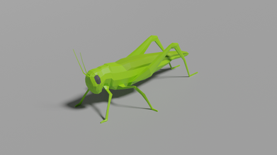 low poly heuschrecke 3d modell insekten 3dexport lowpoly tier insekt wild natur 3d print model - Mito3D
