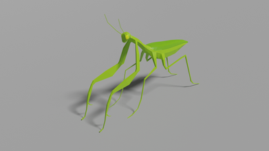 low poly mantis 3d model in haşarat 3dexport düşük poli hayvan böcek vahşi doğa 3d print model - Mito3D