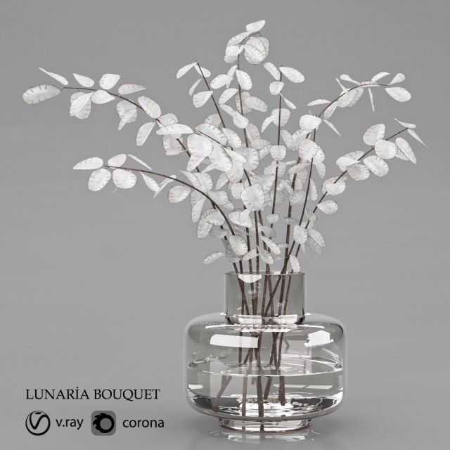 lunaria Strauß 9 Pflanze Innen Blume Topf trocken Allgemeines Dekor Haushaltswaren Weiß Natur Rosa botanisch Tabelle Leben Zimmer Schlafzimmer Düfte 3D print model - Mito3D