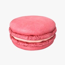 macaron 01 pink food sweet french dessert tasty pastry cookie cake biscuit snack bakery macaroon strawberry candy pbr france delicious 3d print model - Mito3D