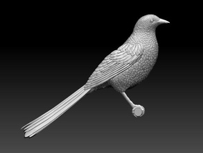pega 3d impressão modelo in escultura 3dexport corvo pássaro pássaros title dom fafe pardal estorninho papagaio rouxinol estátua miniaturas estatuetas 3d print model - Mito3D