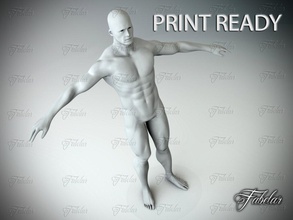 male body std mat printable human 3d model standard materials multimple import formats- 3d print model - Mito3D