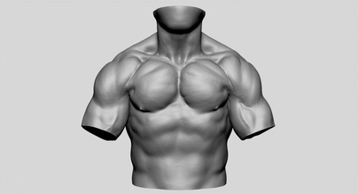 maschio torso stampabile umano corpo zbrush ztl anatomia personaggi obj carattere 3dprint stl 3d print model - Mito3D