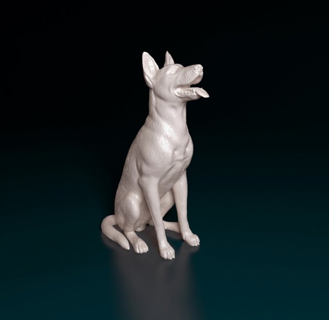 malinois chien 3d impression modèle in figurines 3dexport belge berger animal printready stl obj imprimable 3D print model - Mito3D