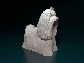 maltese long haired 3d stampa modello in figurine 3dexport cane animale stampabile printready stl obj 3d print model - Mito3D