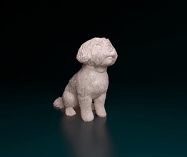 maltés sentado 3d impresión modelo in figuritas 3dexport perro animal listo imprimir stl obj imprimible 3d print model - Mito3D