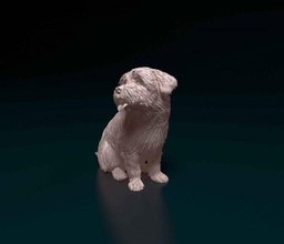 maltés 3d impresión modelo in figuritas 3dexport perro animal stl obj listo imprimir imprimible 3d print model - Mito3D