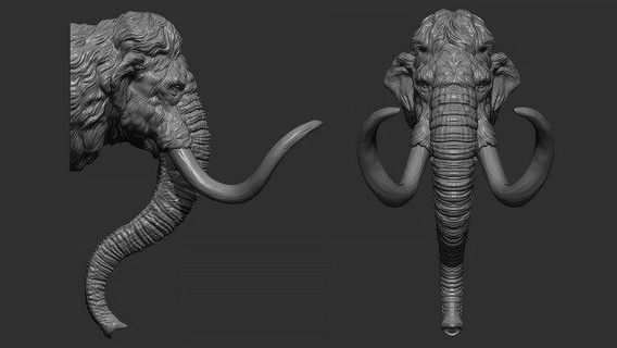 mamut cabeza 3d impresión modelo animales animal naturaleza mamífero escultura estatuilla recuerdo imprimible esculpir Arte estatua 3d print model - Mito3D
