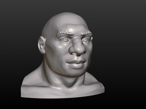 tête d'homme l'homme la grotte de visage brute brutal 3d print model - Mito3D
