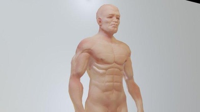 man polygon sculpting people muscular athletic human male body haracter anotomy fullbody 3d print model - Mito3D