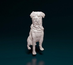 mastiff napolitain bas relief maston releif stl obj printready 3d print model - Mito3D