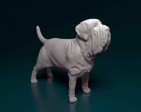 mastiff napolitain chien animal imprimable printready stl obj 3d print model - Mito3D