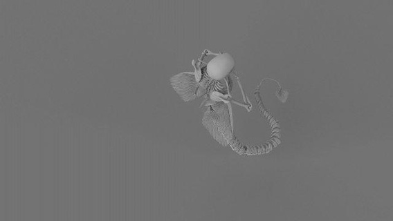 sereia esqueleto 3d pronto impressão estatuetas sereias stl 3d print model - Mito3D