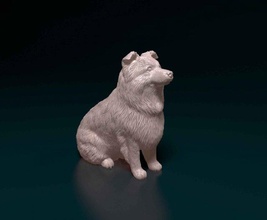 mini australian shepherd dog animal printready stl obj printable 3d print model - Mito3D