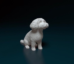 mini poodle cross poodle toy miniature mini stl obj printready printable dog animal